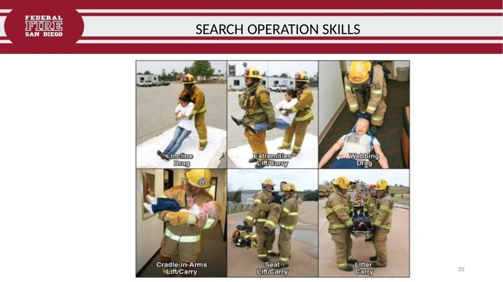 PRIMARY & SECONDARY SEARCH PROCEDURES FFDSD - slide 20 of 24