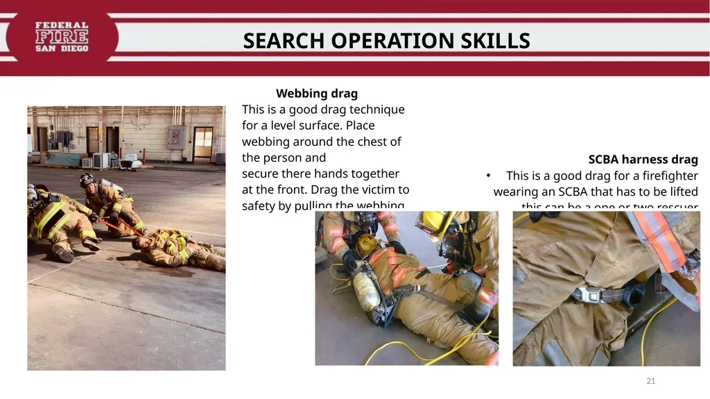 PRIMARY & SECONDARY SEARCH PROCEDURES FFDSD - slide 21 of 24