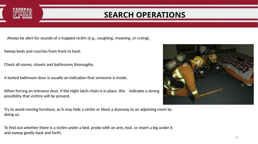 PRIMARY & SECONDARY SEARCH PROCEDURES FFDSD - slide 11 of 24