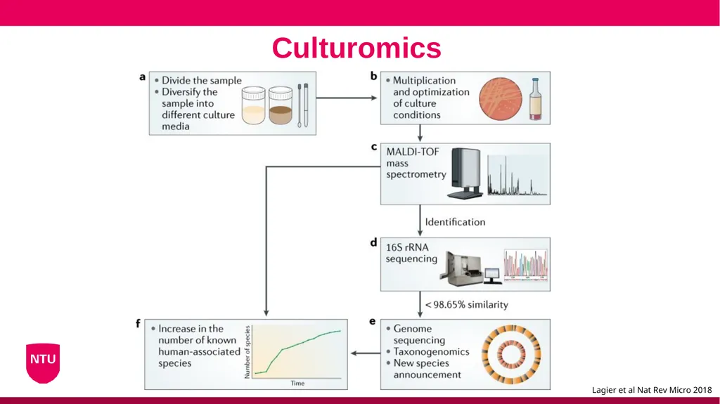 Microbiome analysis Conor Meehan (he/they) - slide 11 of 22