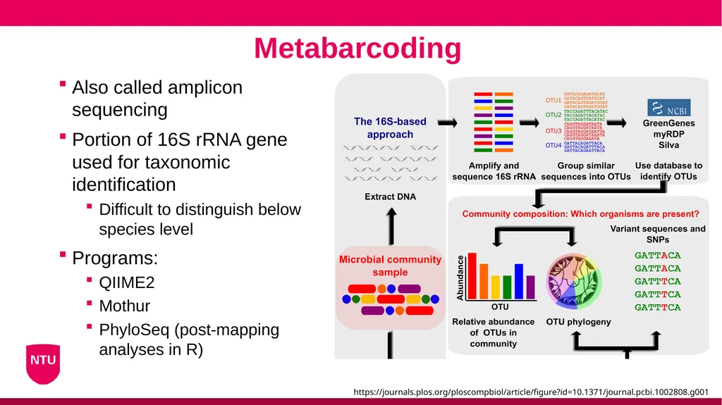 Microbiome analysis Conor Meehan (he/they) - slide 12 of 22