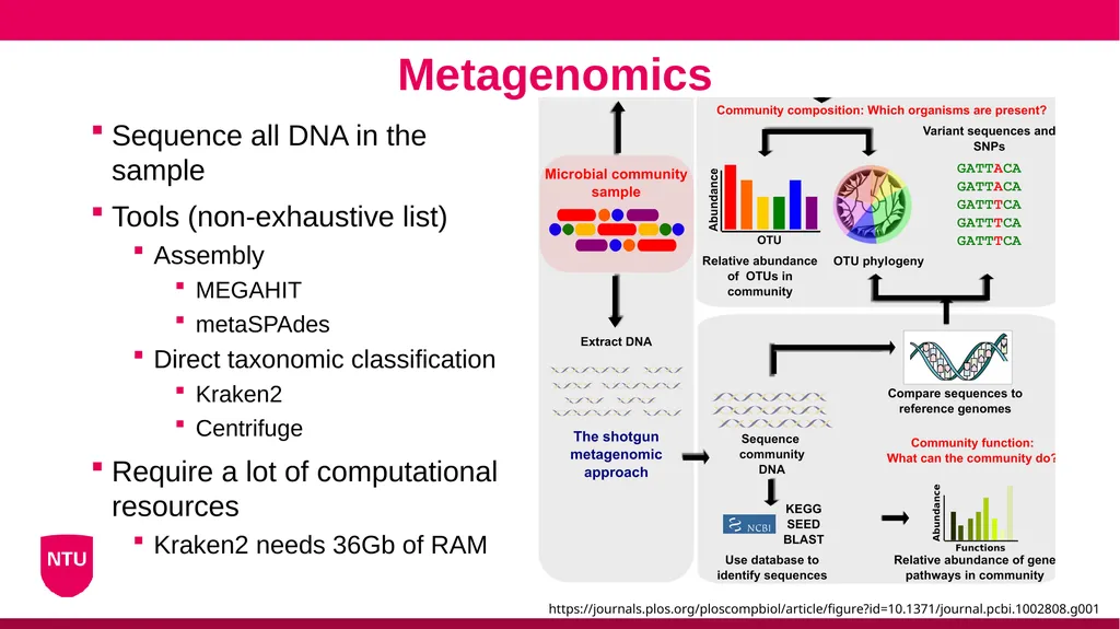 Microbiome analysis Conor Meehan (he/they) - slide 16 of 22