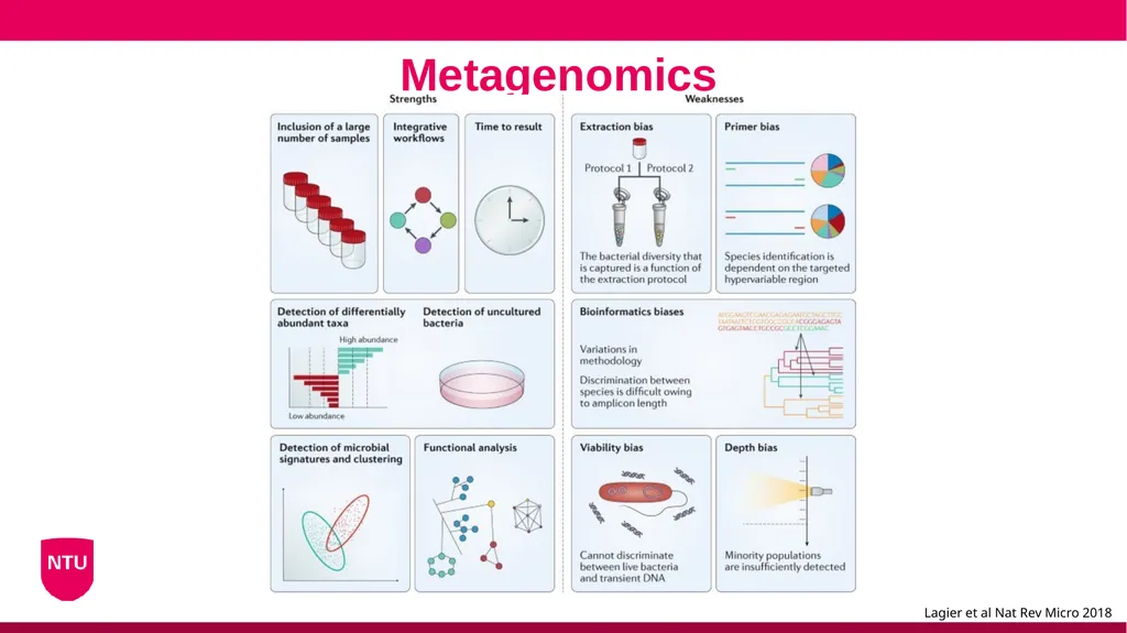 Microbiome analysis Conor Meehan (he/they) - slide 17 of 22
