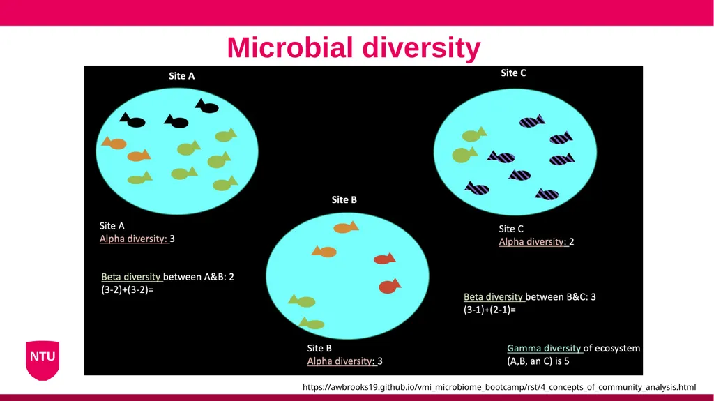 Microbiome analysis Conor Meehan (he/they) - slide 7 of 22