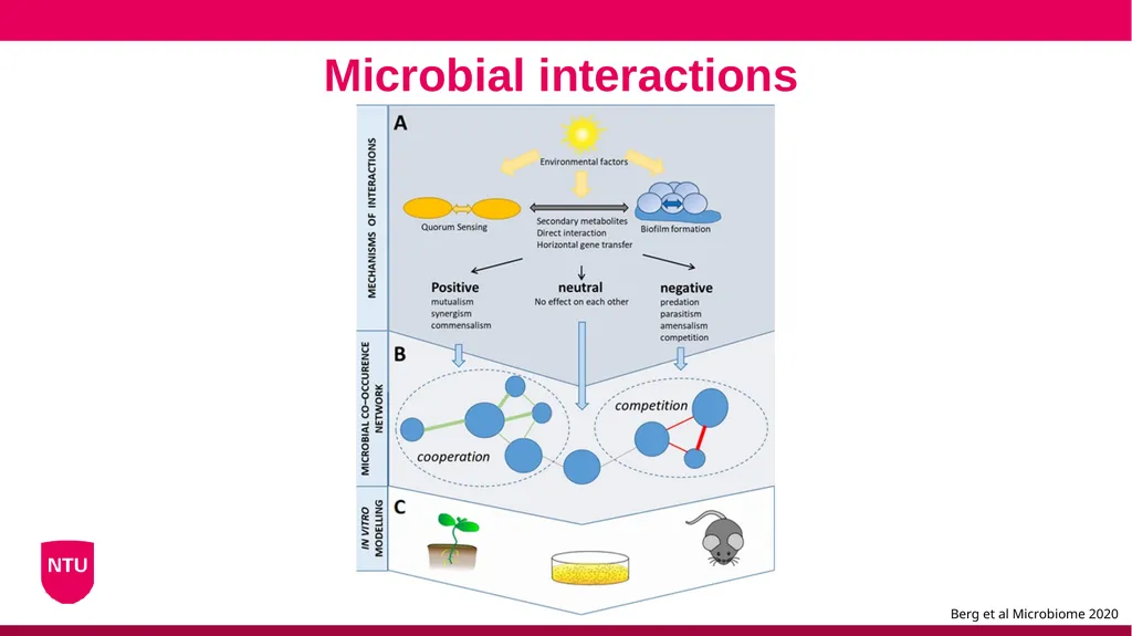 Microbiome analysis Conor Meehan (he/they) - slide 6 of 22