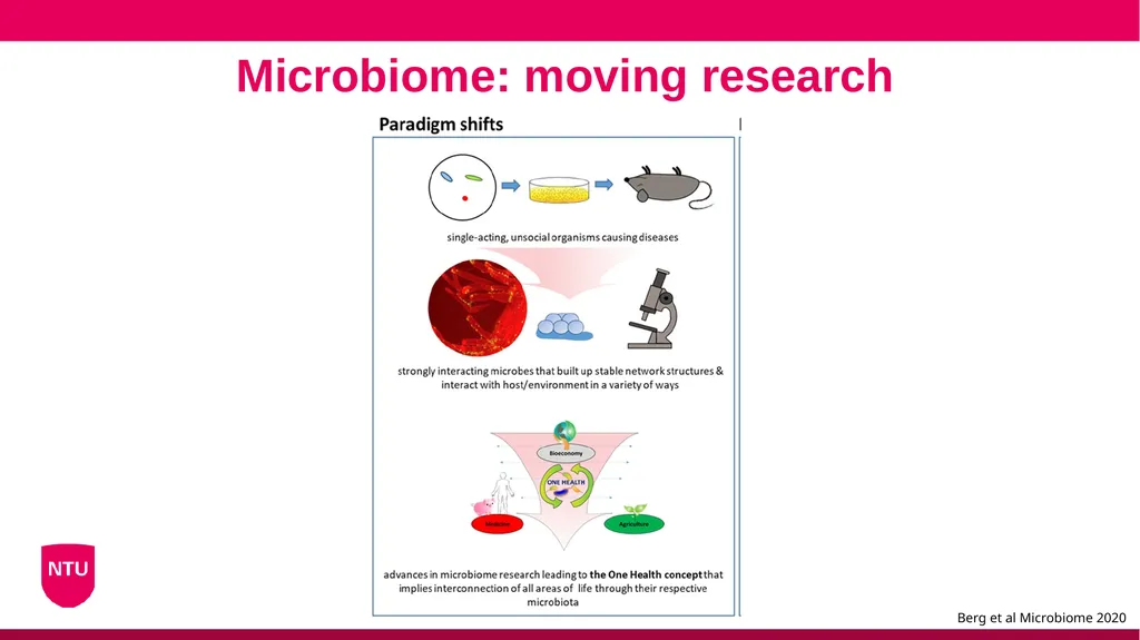 Microbiome analysis Conor Meehan (he/they) - slide 5 of 22