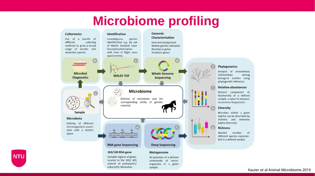 Microbiome analysis Conor Meehan (he/they) - slide 10 of 22