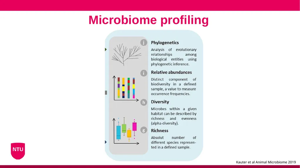 Microbiome analysis Conor Meehan (he/they) - slide 19 of 22