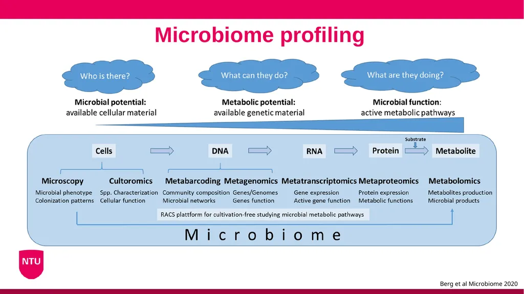 Microbiome analysis Conor Meehan (he/they) - slide 9 of 22