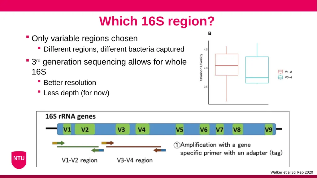 Microbiome analysis Conor Meehan (he/they) - slide 13 of 22