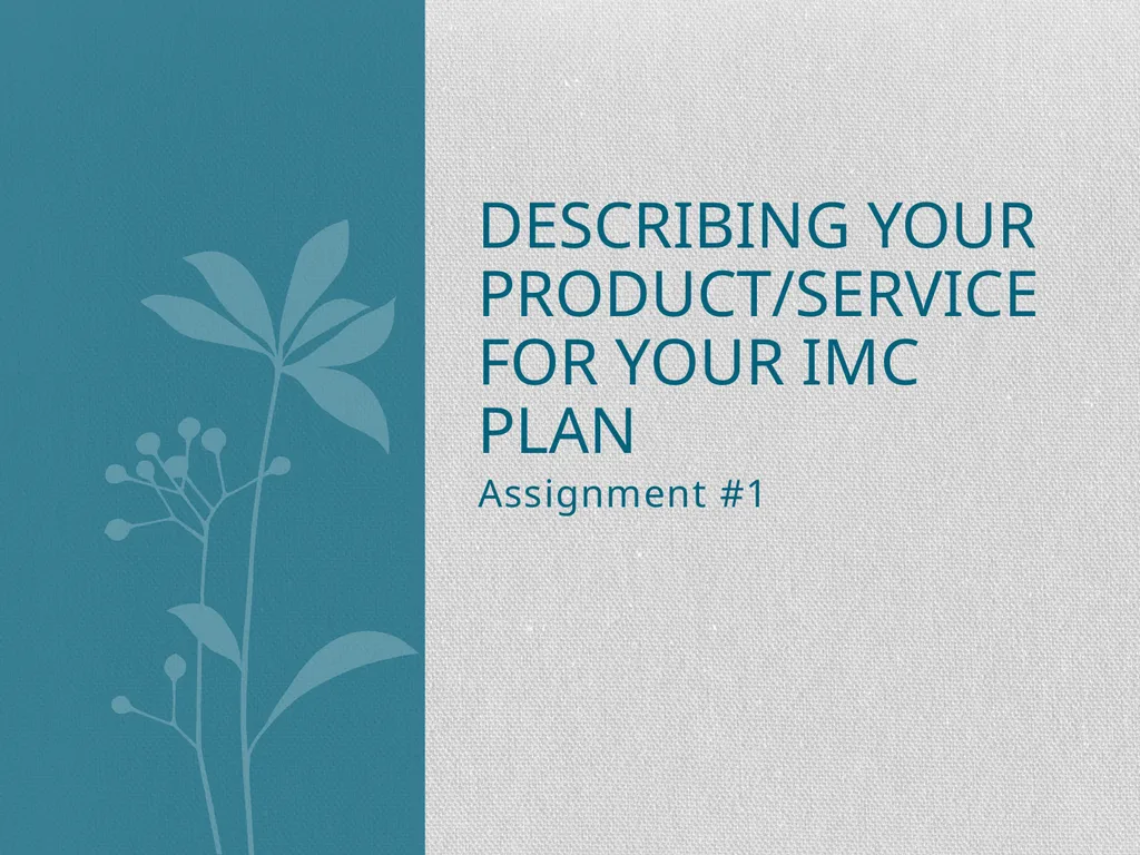 Assignment #1 Describing Your Product/Service for
