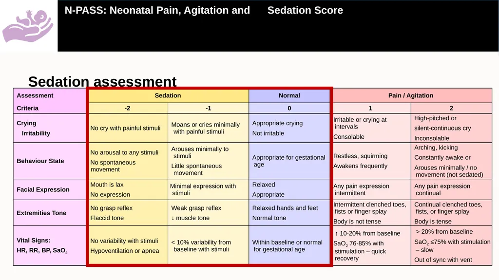 A practical guide on how to use the Neonatal Pain, - slide 10 of 25