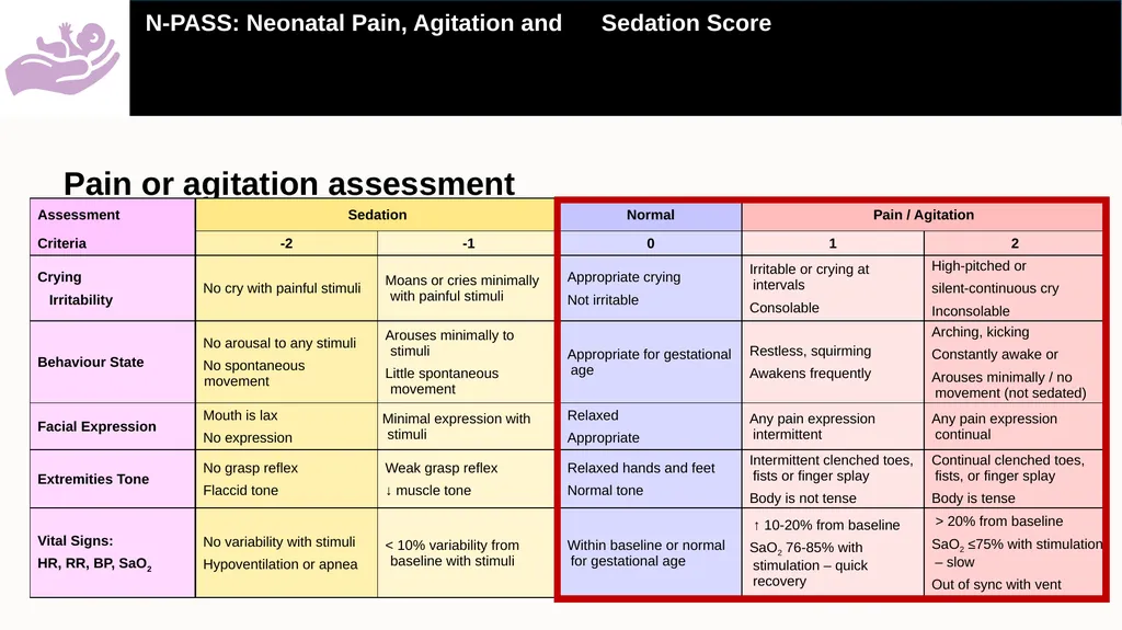 A practical guide on how to use the Neonatal Pain, - slide 7 of 25