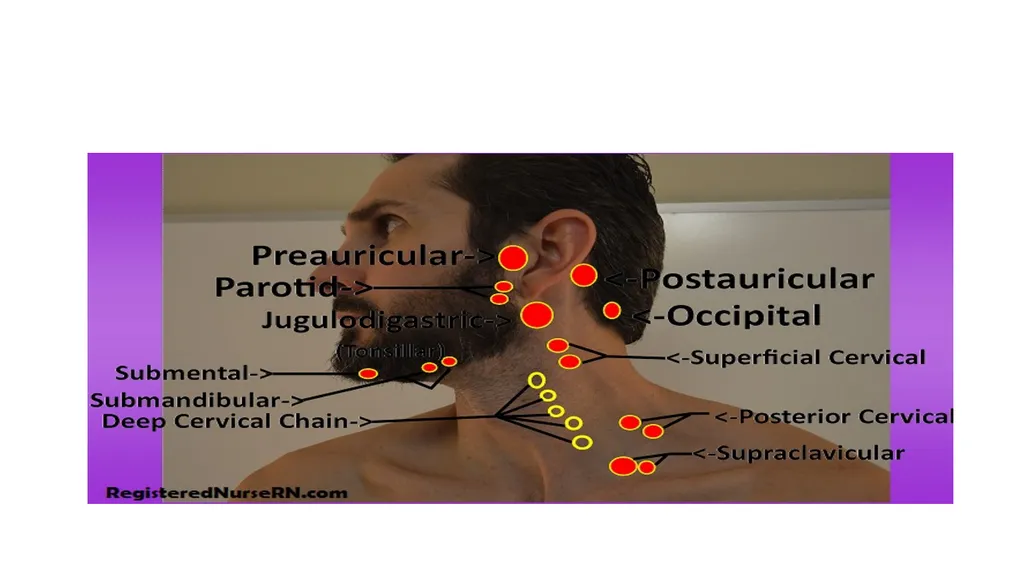 Head-to-Toe Assessment Nursing Introduction This - slide 35 of 62