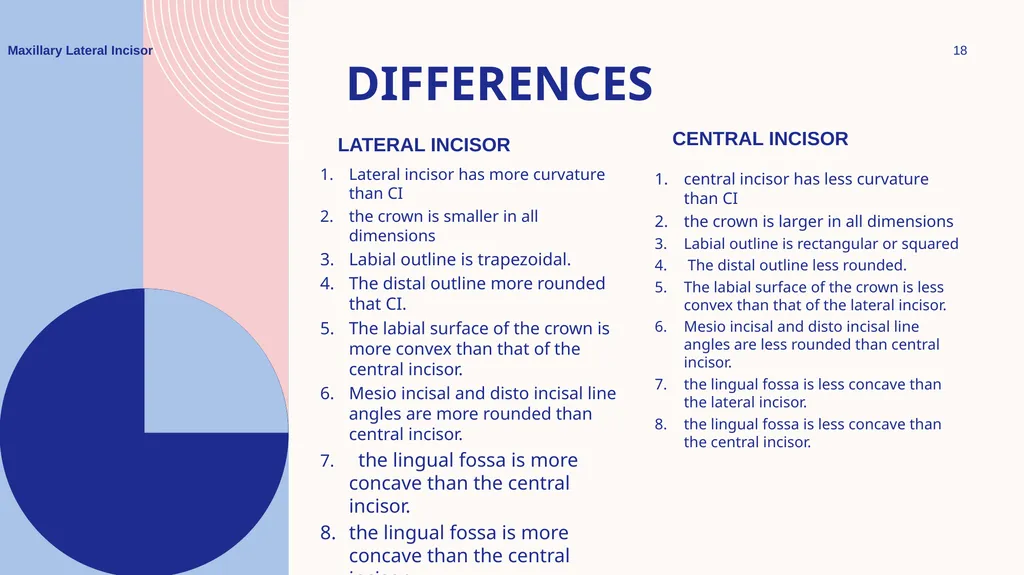 Maxillary Lateral Incisor Dr. Pinar Khalis BDS, - slide 18 of 20