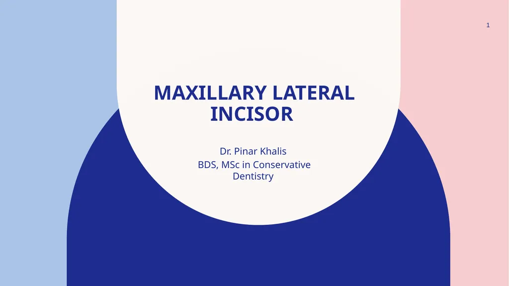 Maxillary Lateral Incisor Dr. Pinar Khalis BDS, - slide 1 of 20