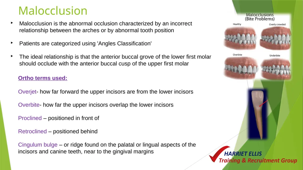 Orthodontics Module 9 Aim of todays session is to - slide 7 of 25
