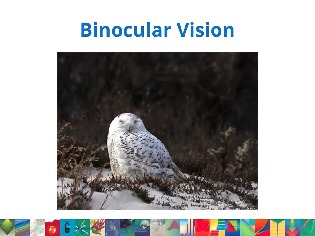 From Capabilities to Contentment: Links between - slide 2 of 16