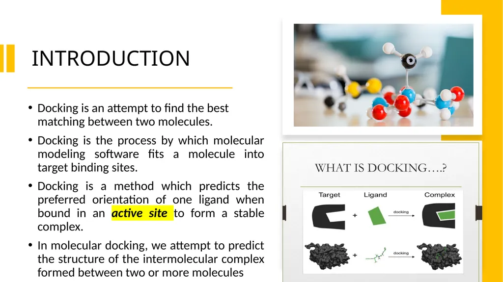 Molecular Docking By Dr Abdul Samad Tishk - slide 2 of 13