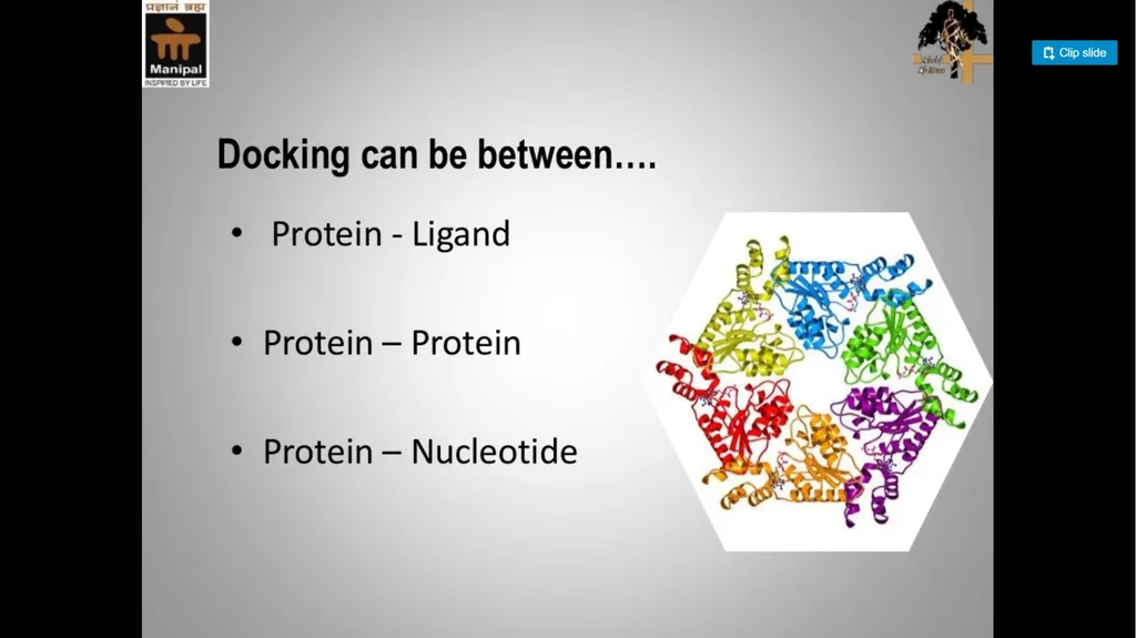 Molecular Docking By Dr Abdul Samad Tishk - slide 5 of 13