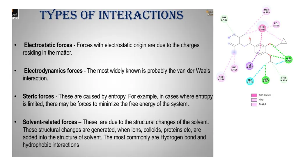 Molecular Docking By Dr Abdul Samad Tishk - slide 6 of 13