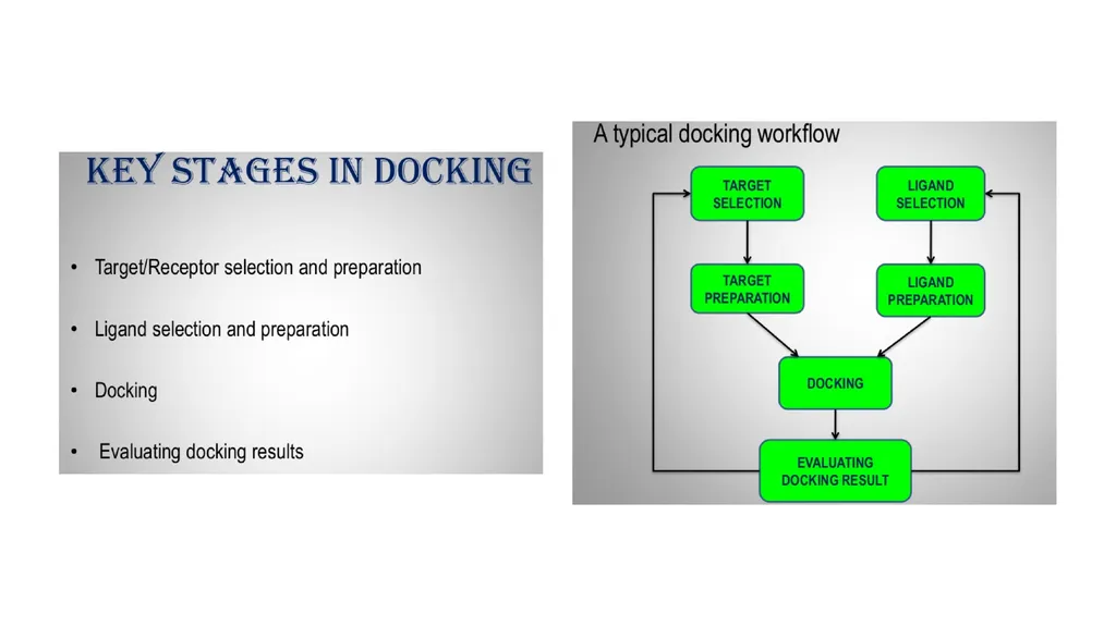 Molecular Docking By Dr Abdul Samad Tishk - slide 7 of 13