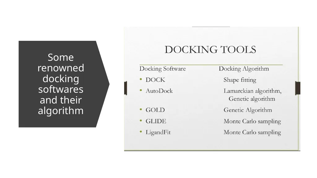 Molecular Docking By Dr Abdul Samad Tishk - slide 11 of 13