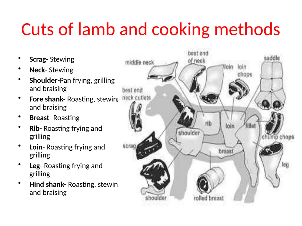 Ch-5-Lamb and Mutton 5.1 Introduction: The terms - slide 4 of 5