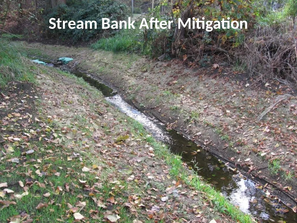 EROSION & SEDIMENTATION PROCESSES Photo by NASA - slide 19 of 28