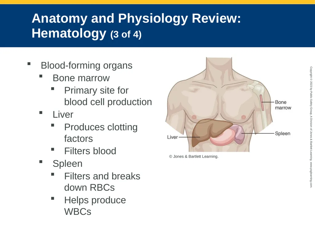 Endocrine and Hematologic Emergencies CHAPTER 21: - slide 46 of 67