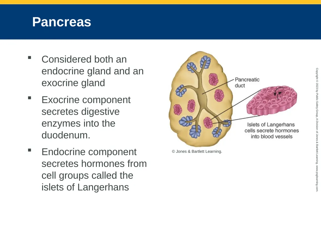 Endocrine and Hematologic Emergencies CHAPTER 21: - slide 9 of 67