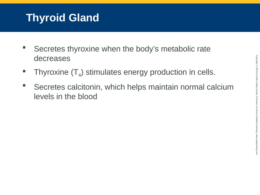 Endocrine and Hematologic Emergencies CHAPTER 21: - slide 8 of 67