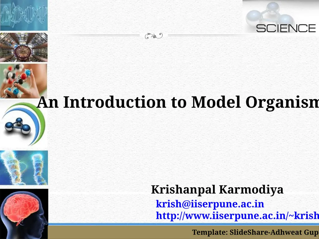 An Introduction to Model Organisms Krishanpal - slide 1 of 46