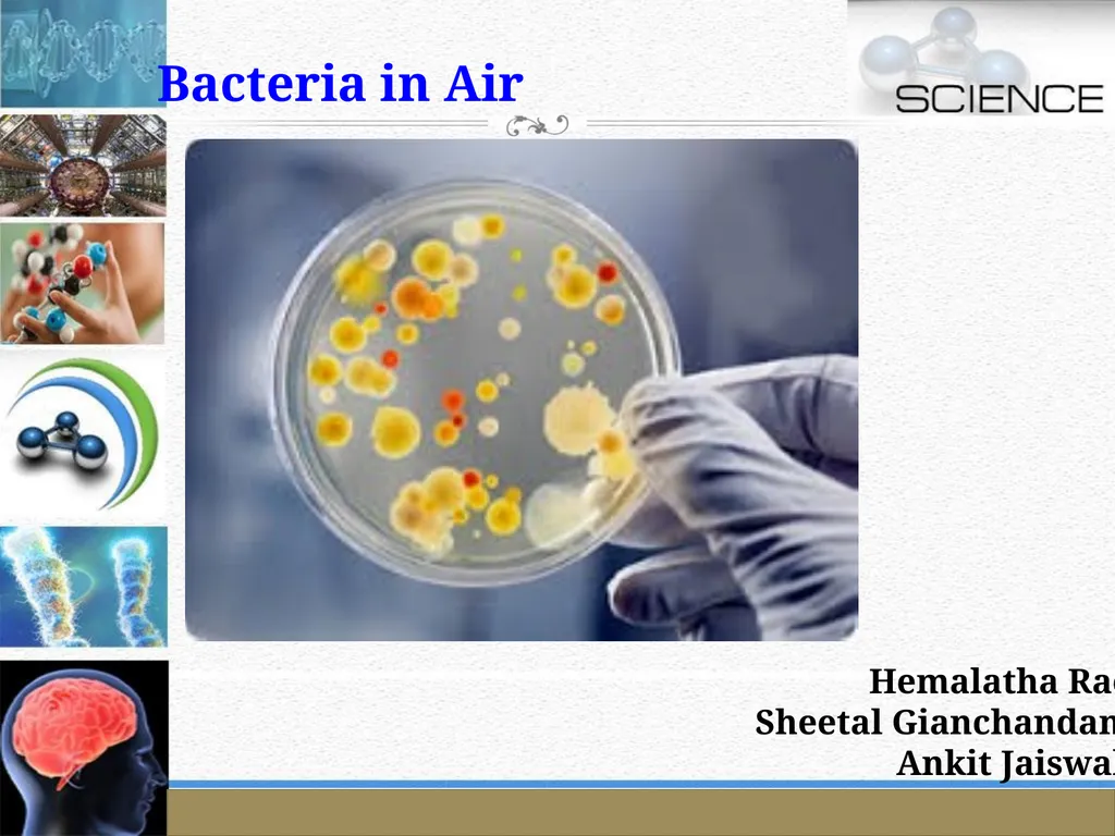 An Introduction to Model Organisms Krishanpal - slide 9 of 46