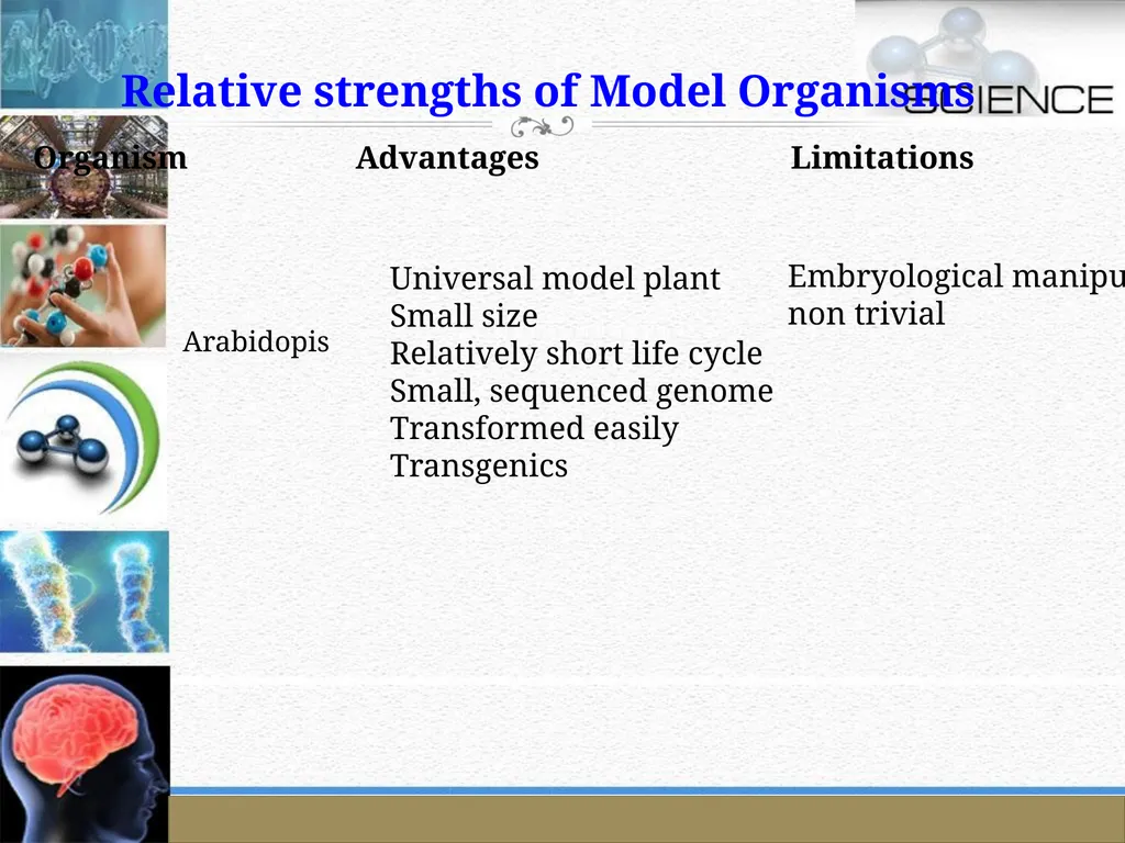 An Introduction to Model Organisms Krishanpal - slide 44 of 46