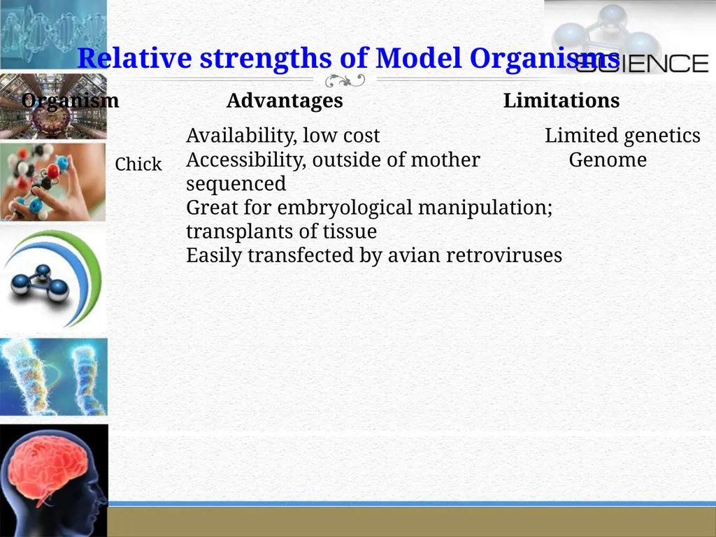 An Introduction to Model Organisms Krishanpal - slide 45 of 46