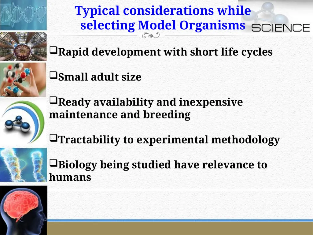 An Introduction to Model Organisms Krishanpal - slide 5 of 46