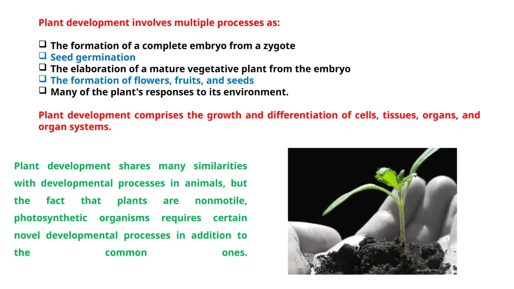 MODEL PLANT SYSTEM Learning objectives After this - slide 3 of 13