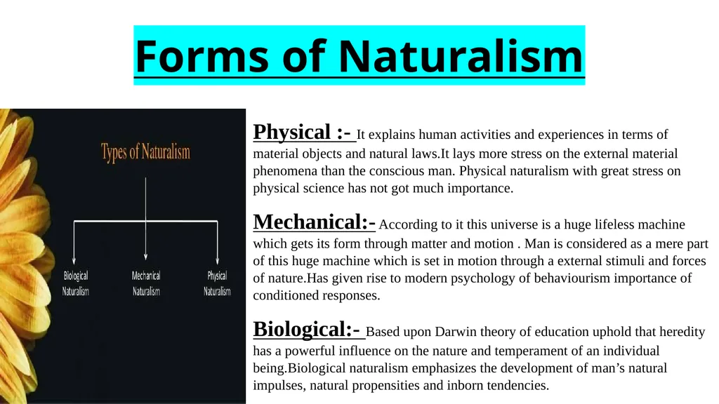 NATURALISM Session (2022-23) Presented By Shiv - slide 8 of 21