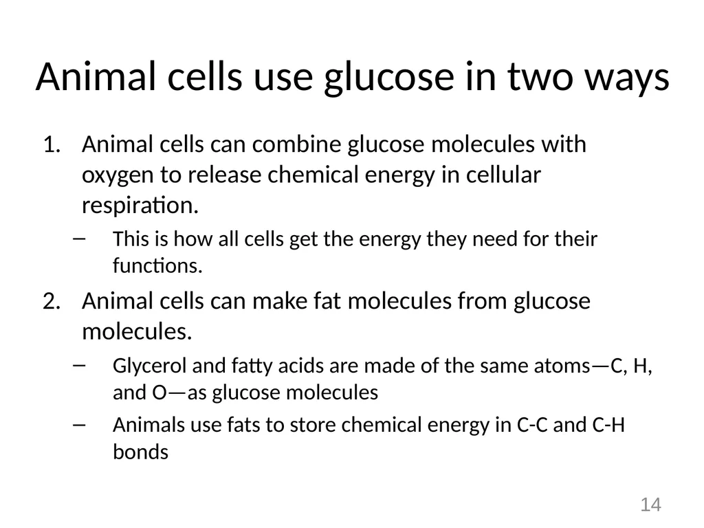 Animals Unit Activity 5.1: Tracing the Processes - slide 14 of 19