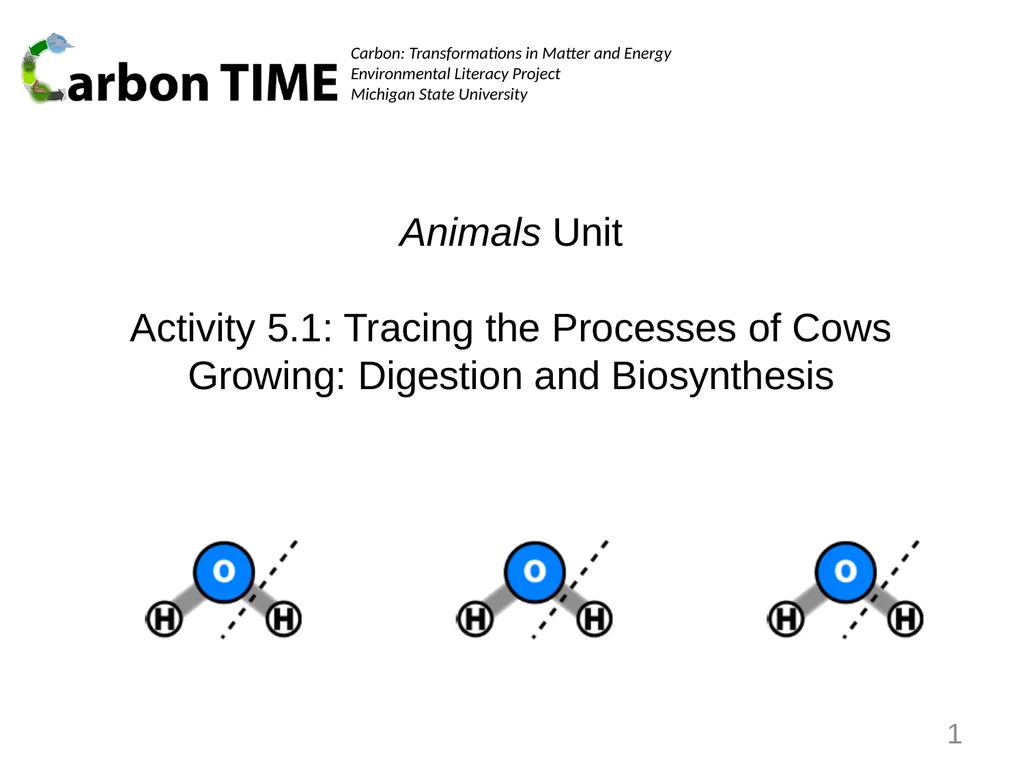Animals Unit Activity 5.1: Tracing the Processes - slide 1 of 19
