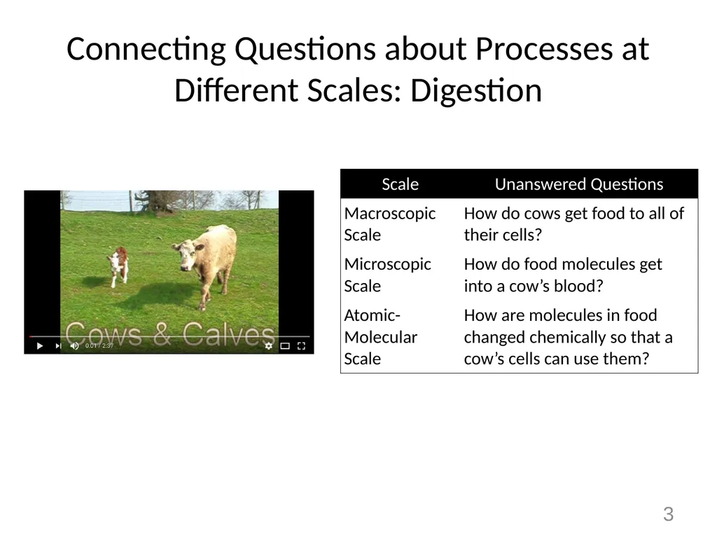 Animals Unit Activity 5.1: Tracing the Processes - slide 3 of 19