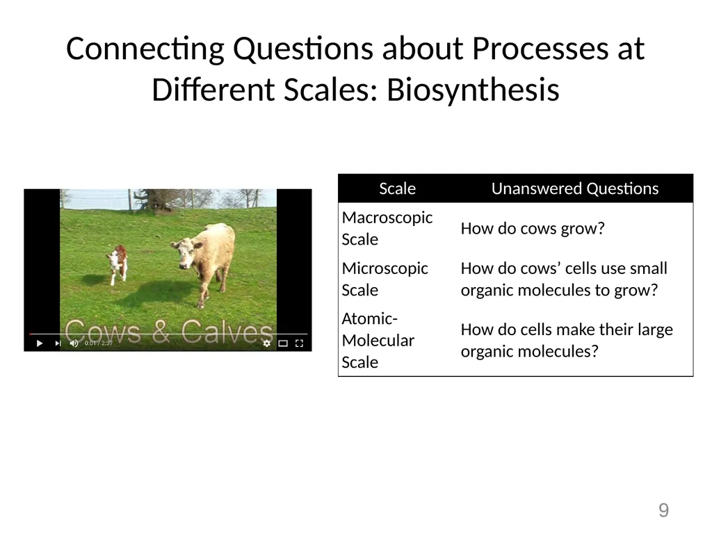 Animals Unit Activity 5.1: Tracing the Processes - slide 9 of 19