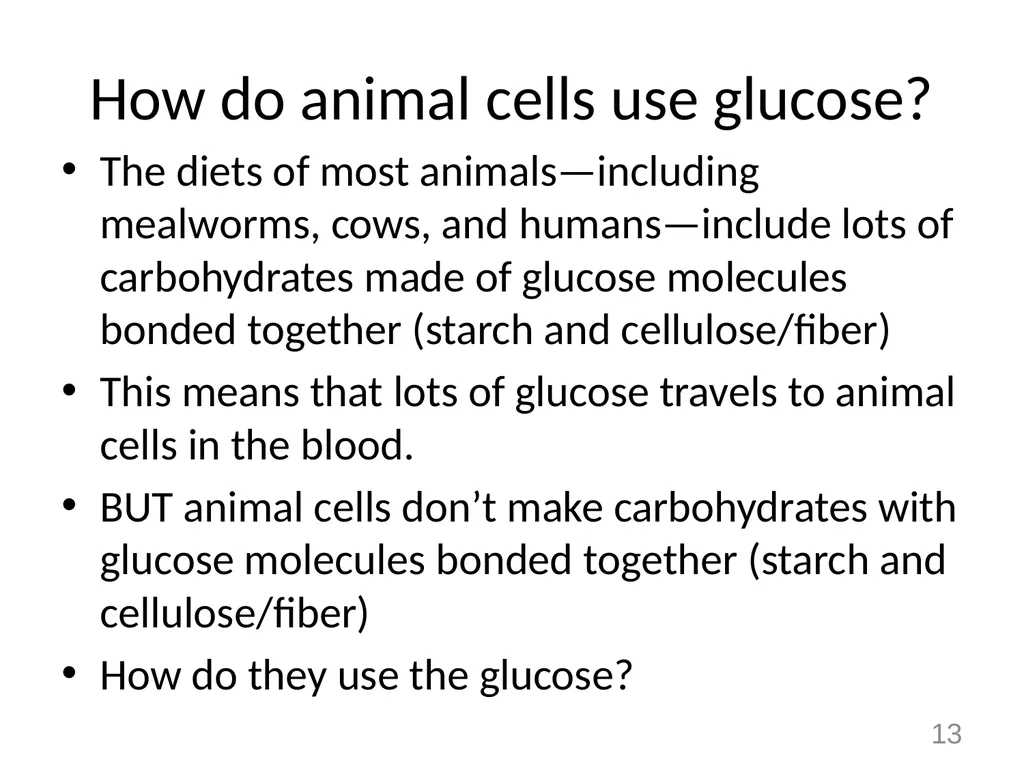 Animals Unit Activity 5.1: Tracing the Processes - slide 13 of 19