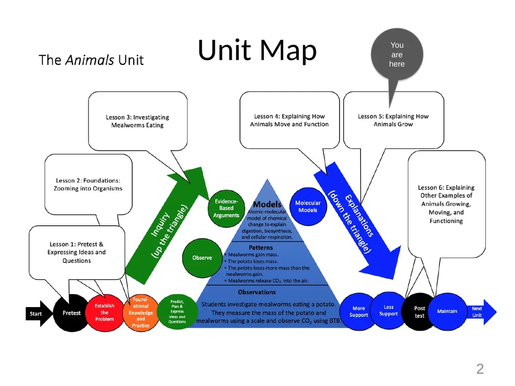 Animals Unit Activity 5.1: Tracing the Processes - slide 2 of 19