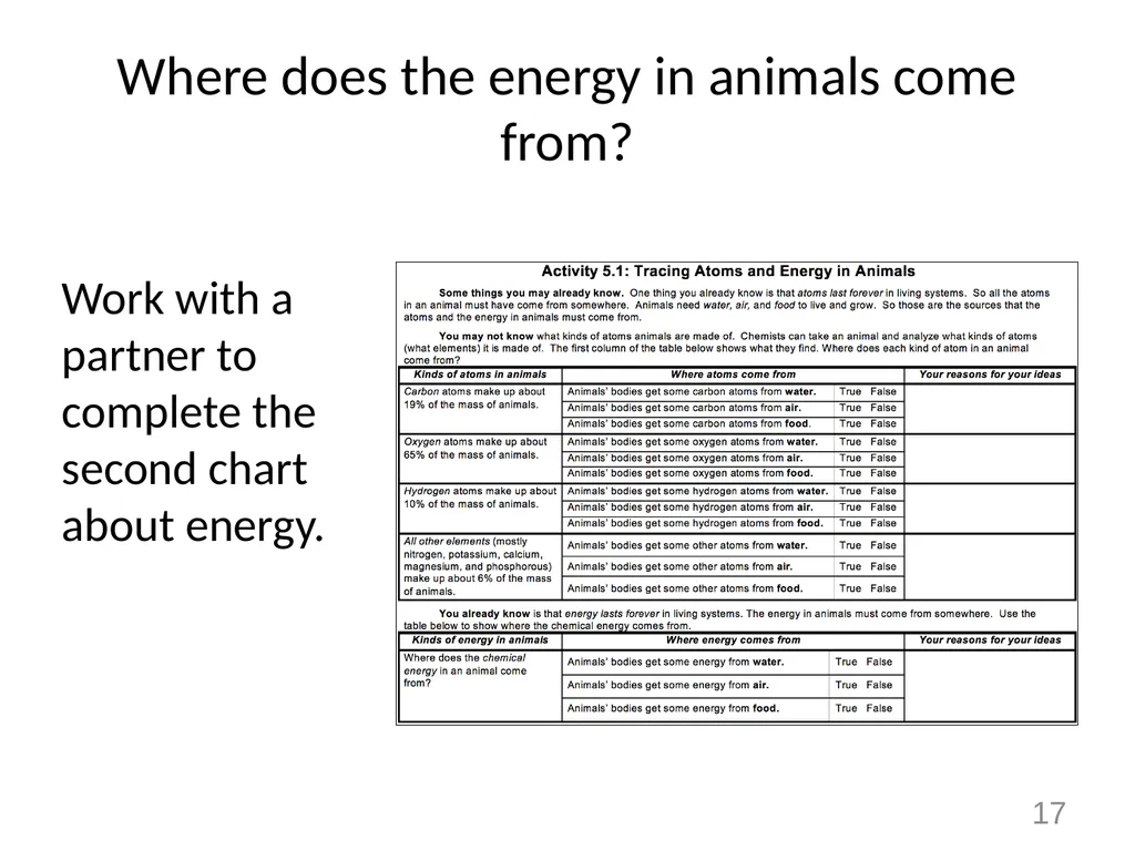 Animals Unit Activity 5.1: Tracing the Processes - slide 17 of 19