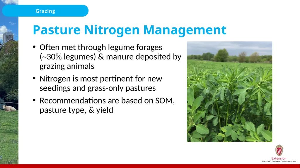Nutrient Management for Grazing/Pastures On the - slide 10 of 25