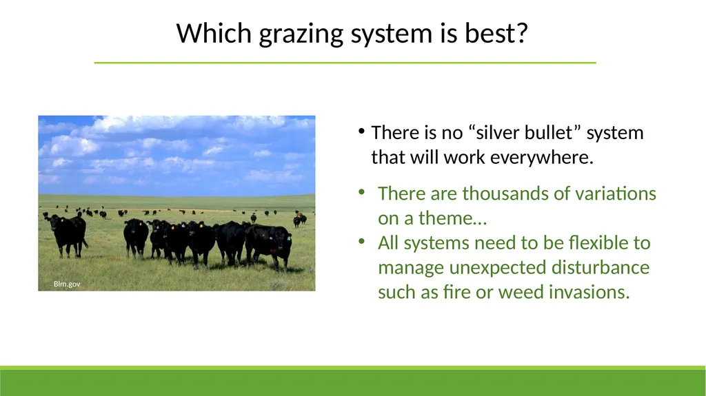 Grazing Methods or Systems Rangeland Principles - slide 16 of 19