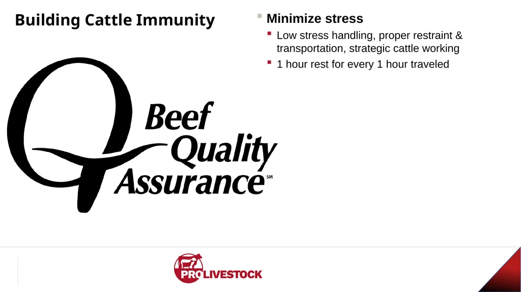 Cattle Vaccination & Receiving Adam Murray, Ph.D. - slide 21 of 26
