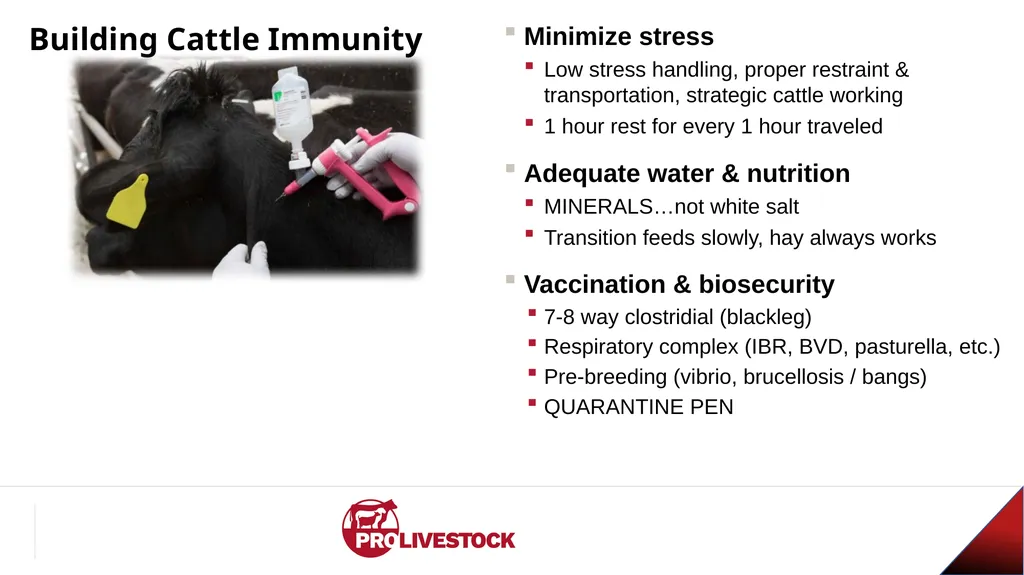 Cattle Vaccination & Receiving Adam Murray, Ph.D. - slide 23 of 26